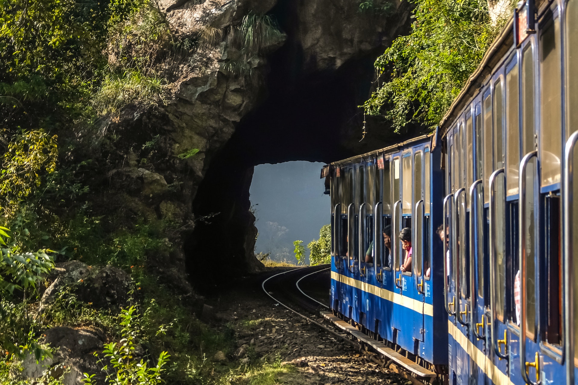 Exploring India’s Western Ghats: trains, tea and terrific wildlife recognizing