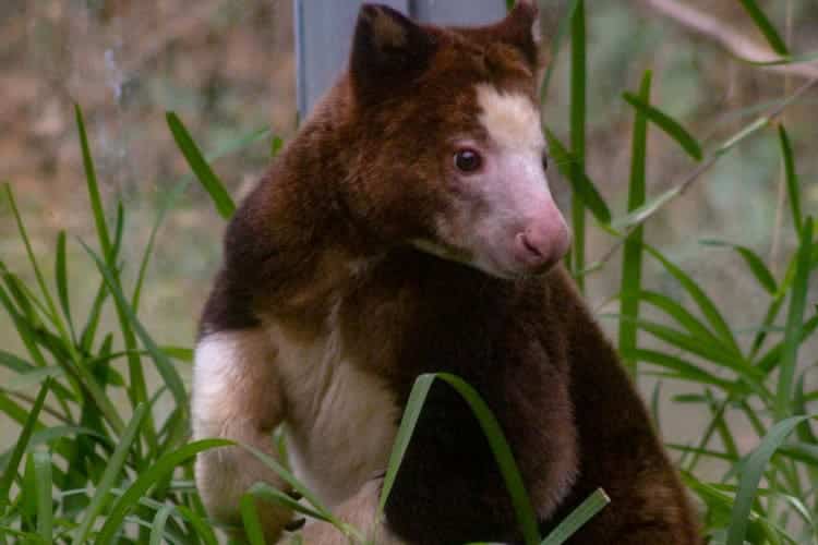 Family-Nice Adventures in Toronto