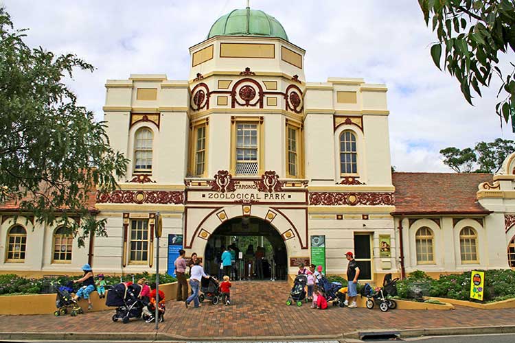 Discovering Sydney’s Taronga Zoo: A Household Information to Australia’s Wildlife Wonders