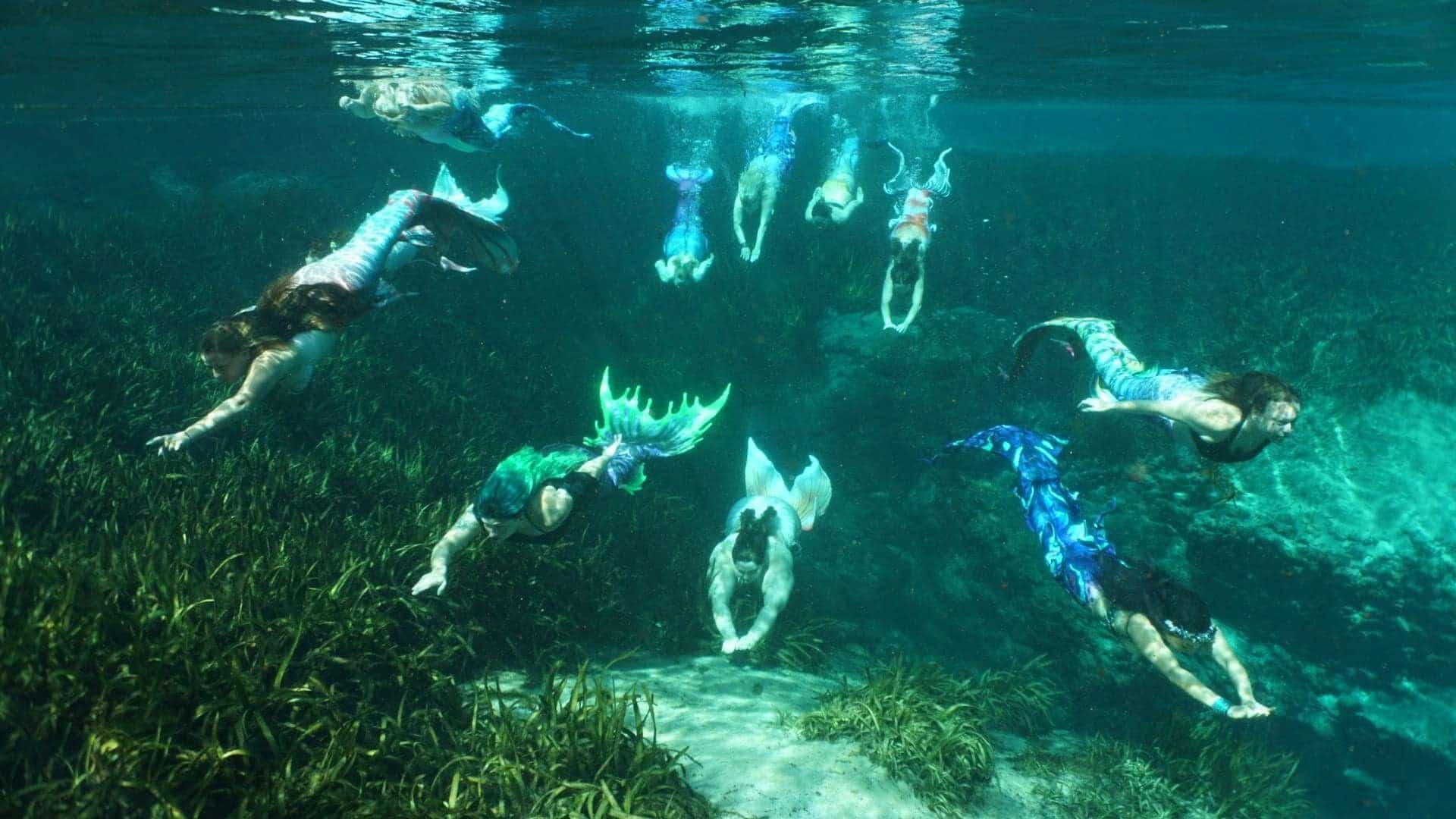 Get into: mermaiding in Florida… how one can swim with the fishes and dwell your personal Little Mermaid dream