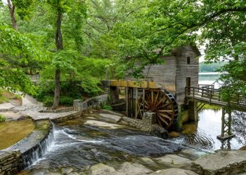 Experience Atlanta Like a Native Family