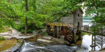 Experience Atlanta Like a Native Family