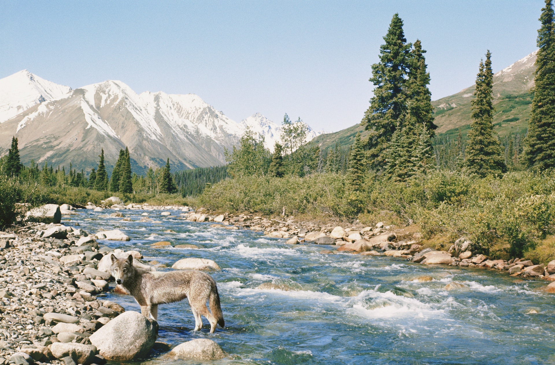 7 of the perfect experiences in Alaska