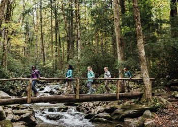 Finest Household Mountain Holidays in North Carolina