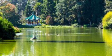 San Francisco with Infants and Toddlers: The place to Go and What to Do