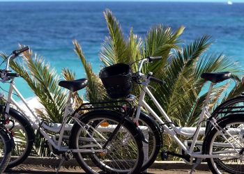 Off the Crushed Path – Los Angeles