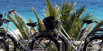 Off the Crushed Path – Los Angeles