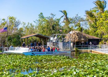 Miami – Stay Like a Native Whereas Touring