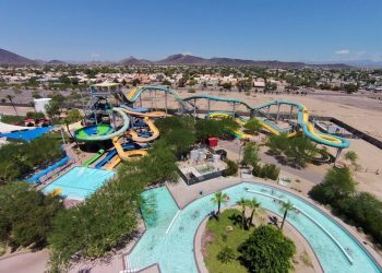 Phoenix for Youngsters: Enjoyable, Distinctive & Uncommon Actions