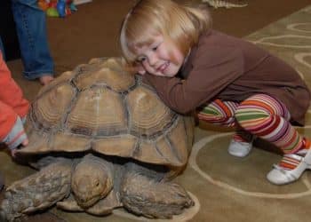 Distinctive Methods to Discover Salt Lake Metropolis With Youngsters