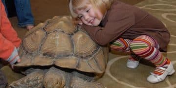 Distinctive Methods to Discover Salt Lake Metropolis With Youngsters