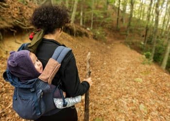 Seattle Journey Information: Greatest Locations to Go to with Youngsters