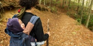 Seattle Journey Information: Greatest Locations to Go to with Youngsters