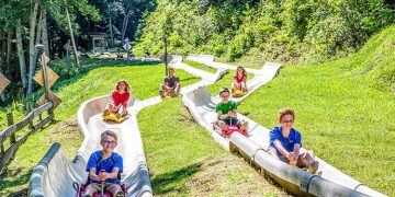 Greatest Street Journey Locations within the South for Households